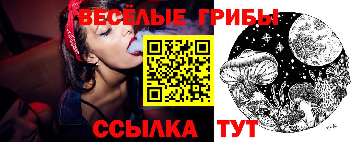 Галлюциногенные грибы ЛСД Отрадное