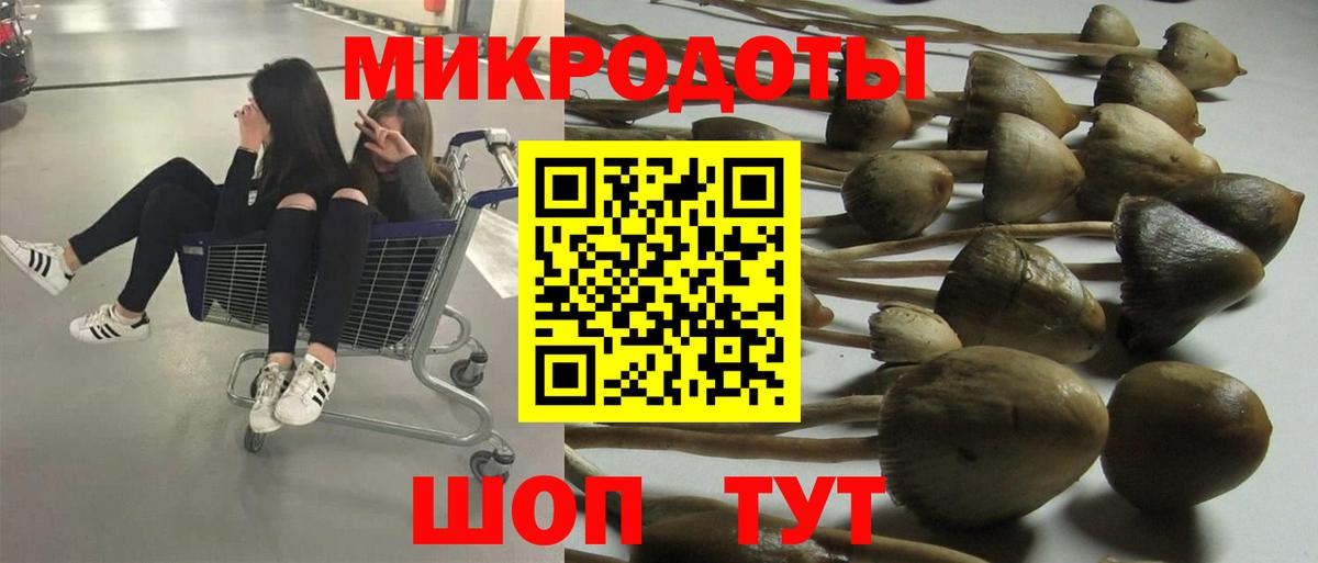 Галлюциногенные грибы мухоморы  Псилоцибиновые грибы Magic Shrooms  Вход с VPN  Отрадное 
